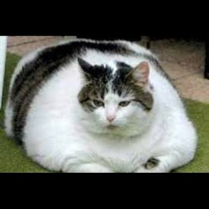 Meet your Posher, Leanna